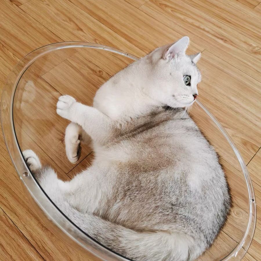 Акриловаяпылезащитнаякрышкадлякошачьеготуалета30см