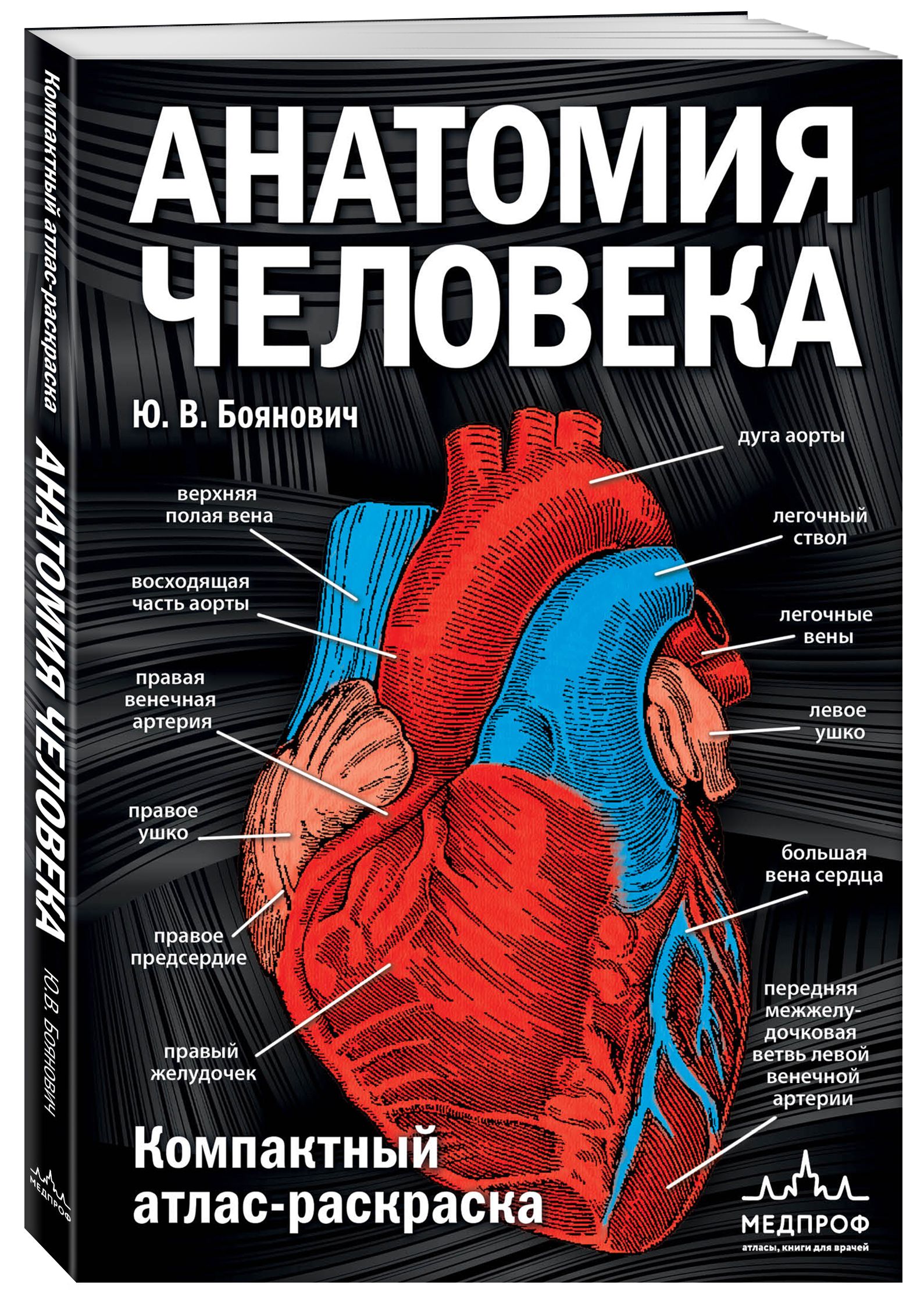 Анатомия человека. Компактный атлас-раскраска | Coloring Book - Ozon image 3