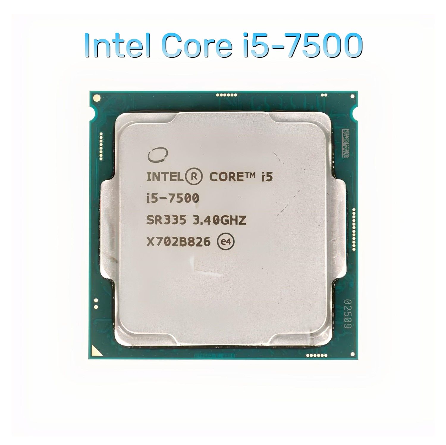 7296441326.jpg