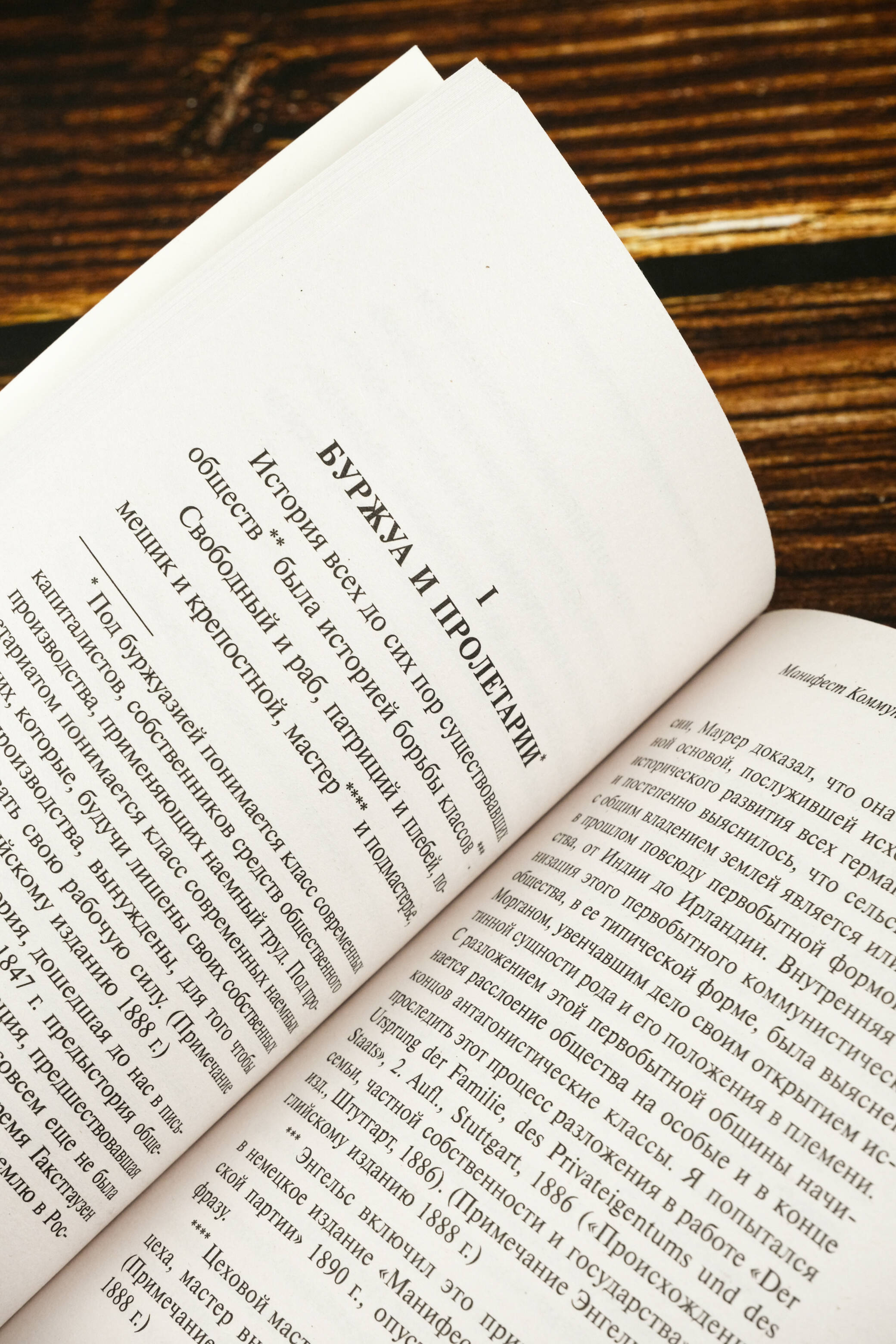 Принципы коммунизма. Манифест коммунистической партии | Principles of Communism. Manifesto of the Communist Party - Ozon image 6