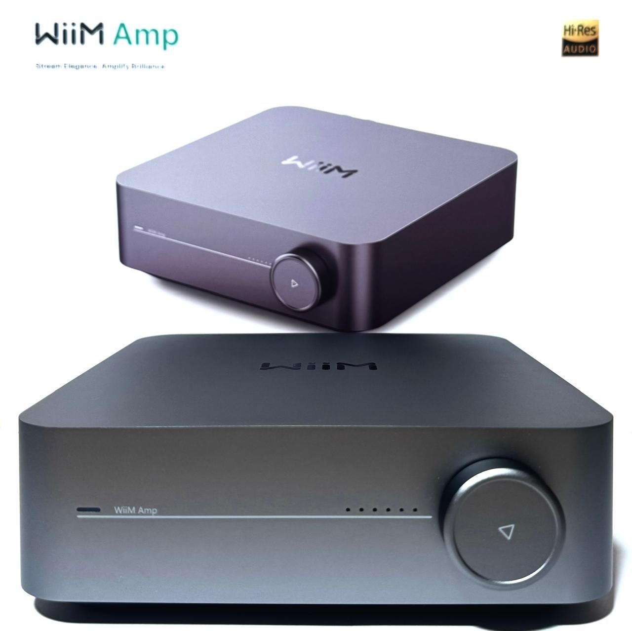 Интегральный усилитель WiiM Amp Grey 3-я ревизия: Мультирум