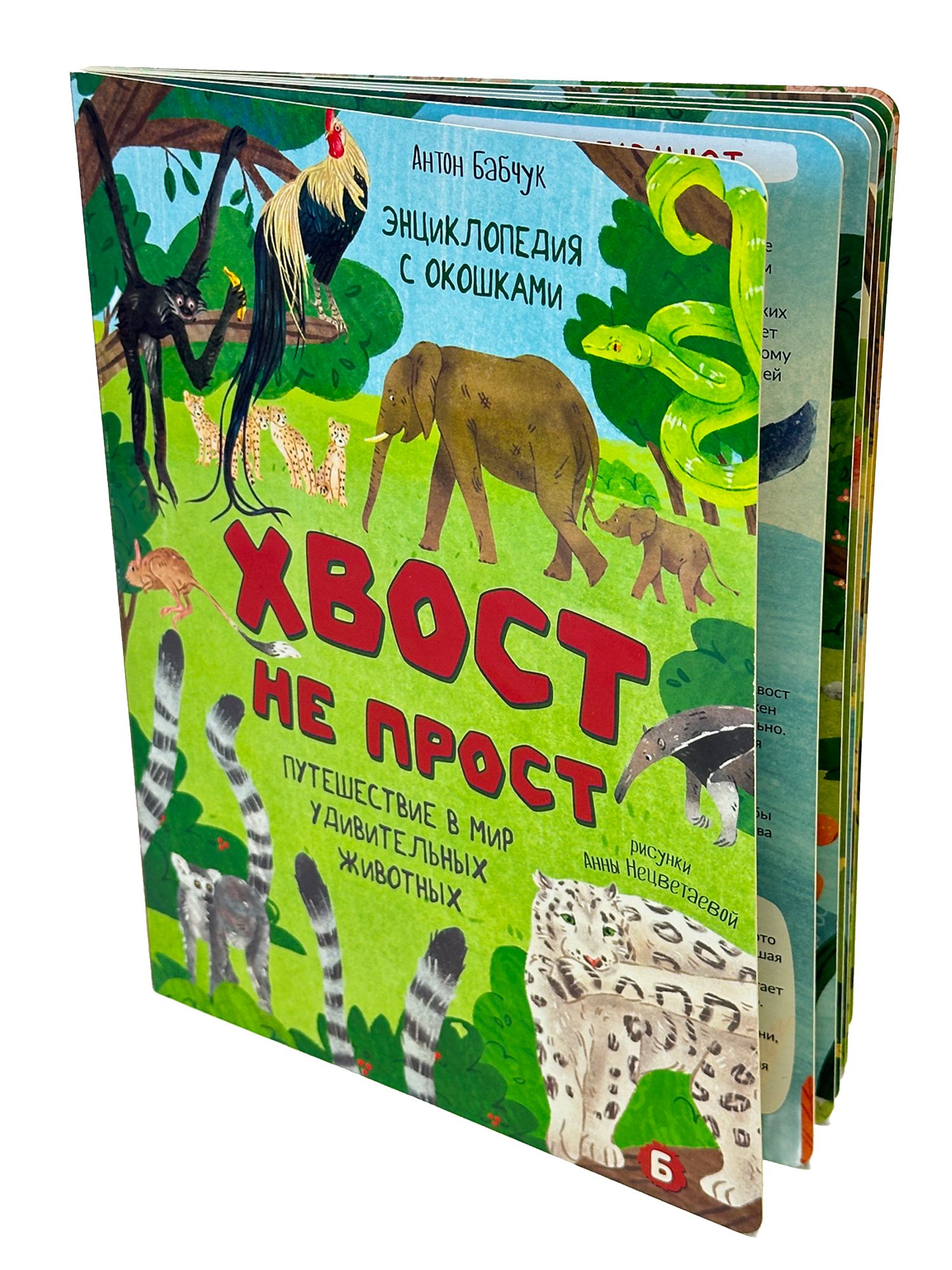 Книга детская энциклопедия с окошками Виммельбух | Children's Encyclopedia with Windows Wimmelbuch - Ozon image 5