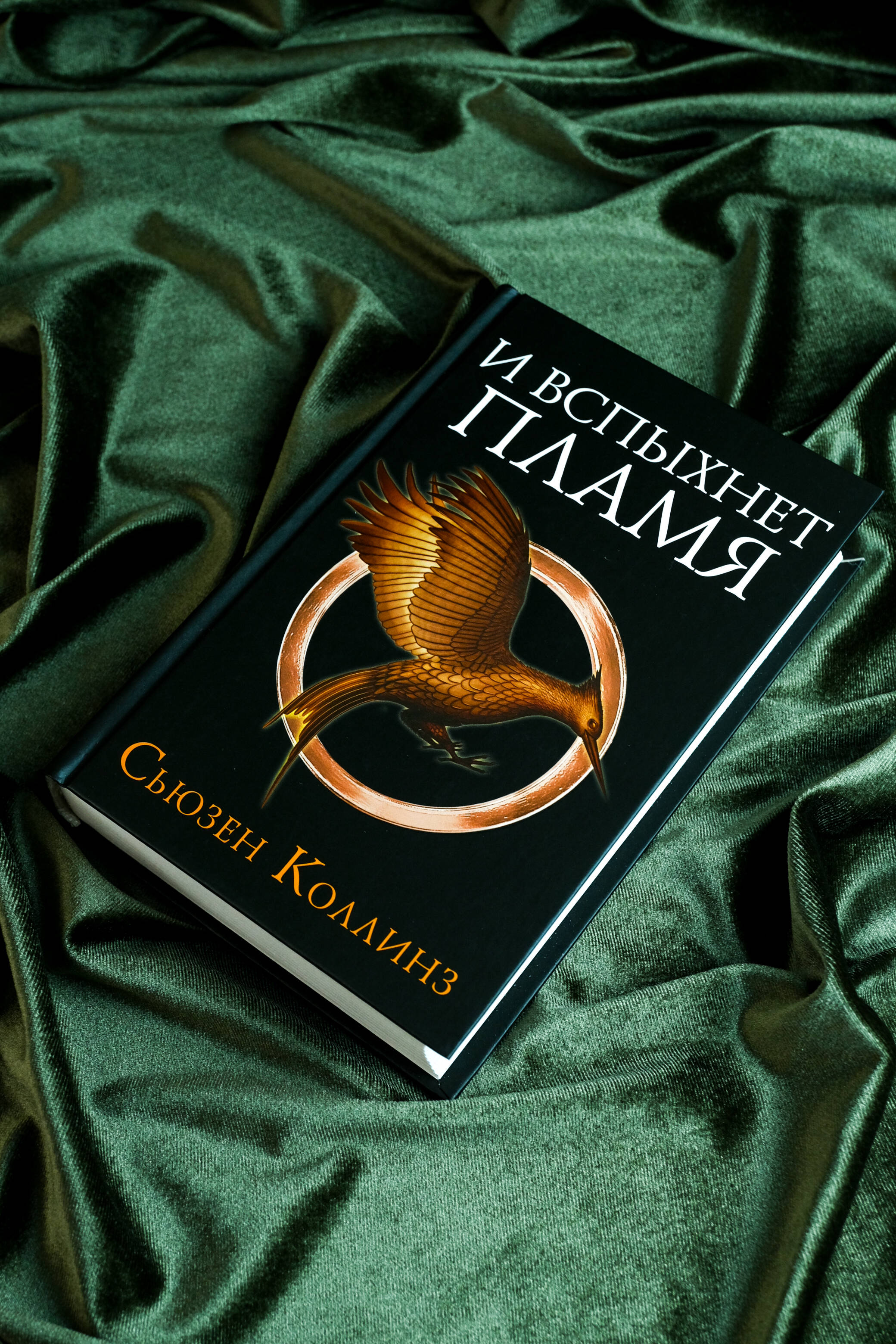И вспыхнет пламя | The Ballad of Songbirds and Snakes - Ozon image 4