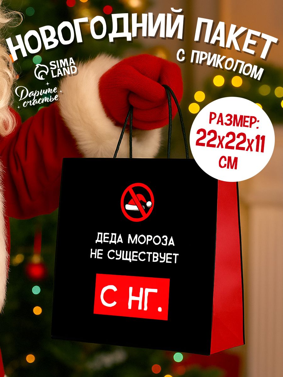 Пакет подарочный новогодний, 22 х 22 х 11 см