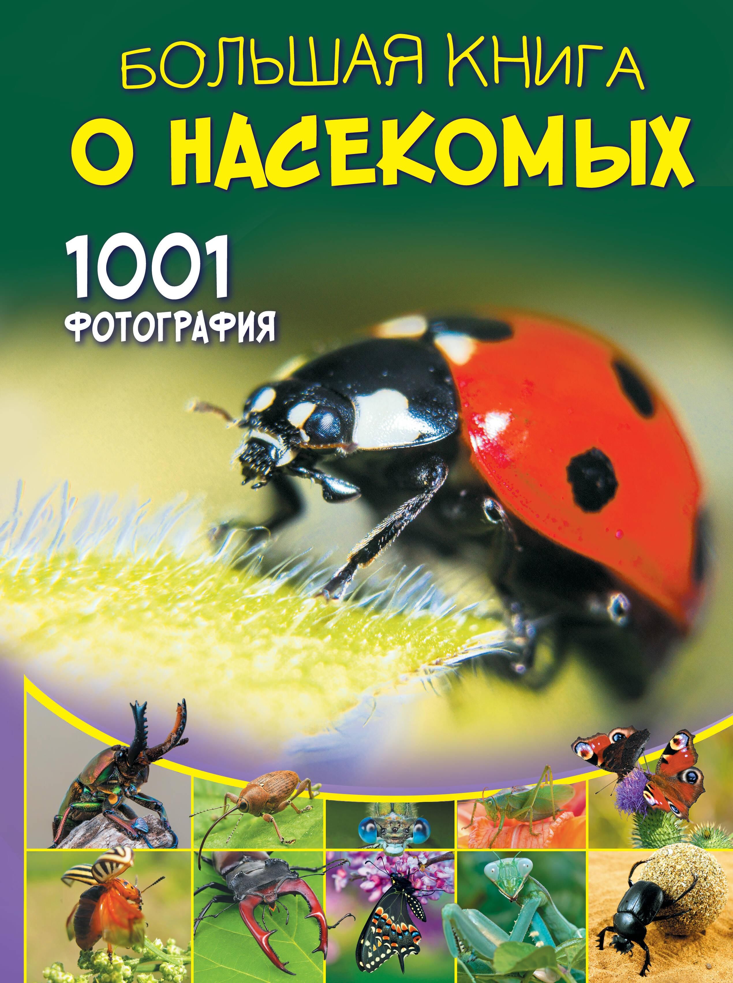 Большая книга о насекомых. 1001 фотография | The Big Book of Insects: 1001 Photographs - Ozon image 3