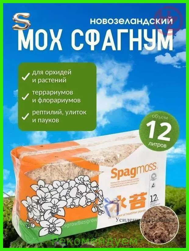Мох #1