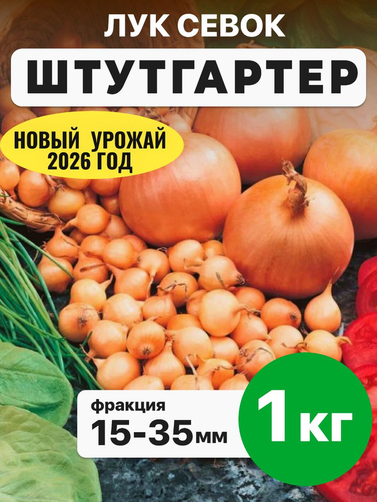 Лук севок для посадки Штутгартер Ризен 1кг #1
