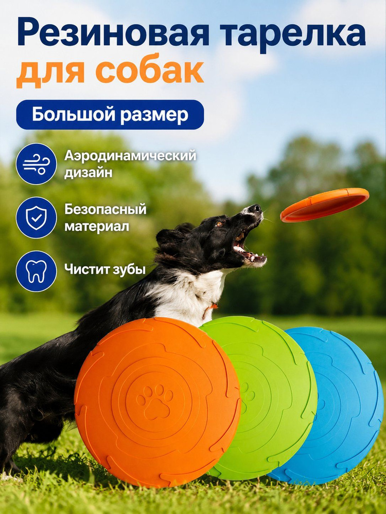 Фрисби #1