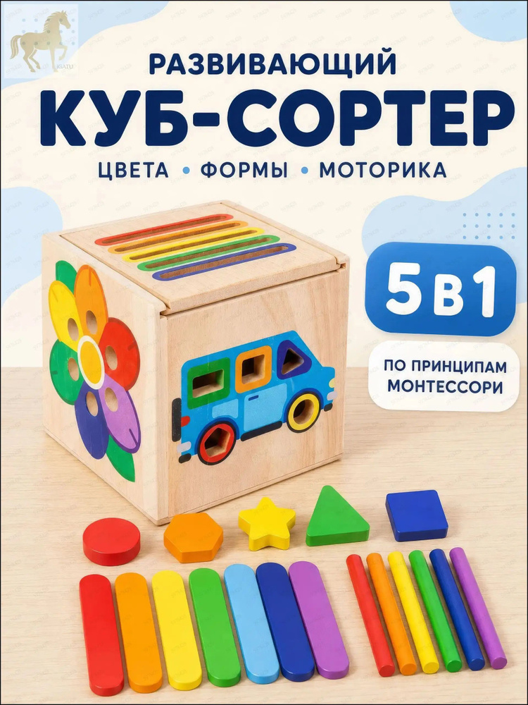 Сортер #1