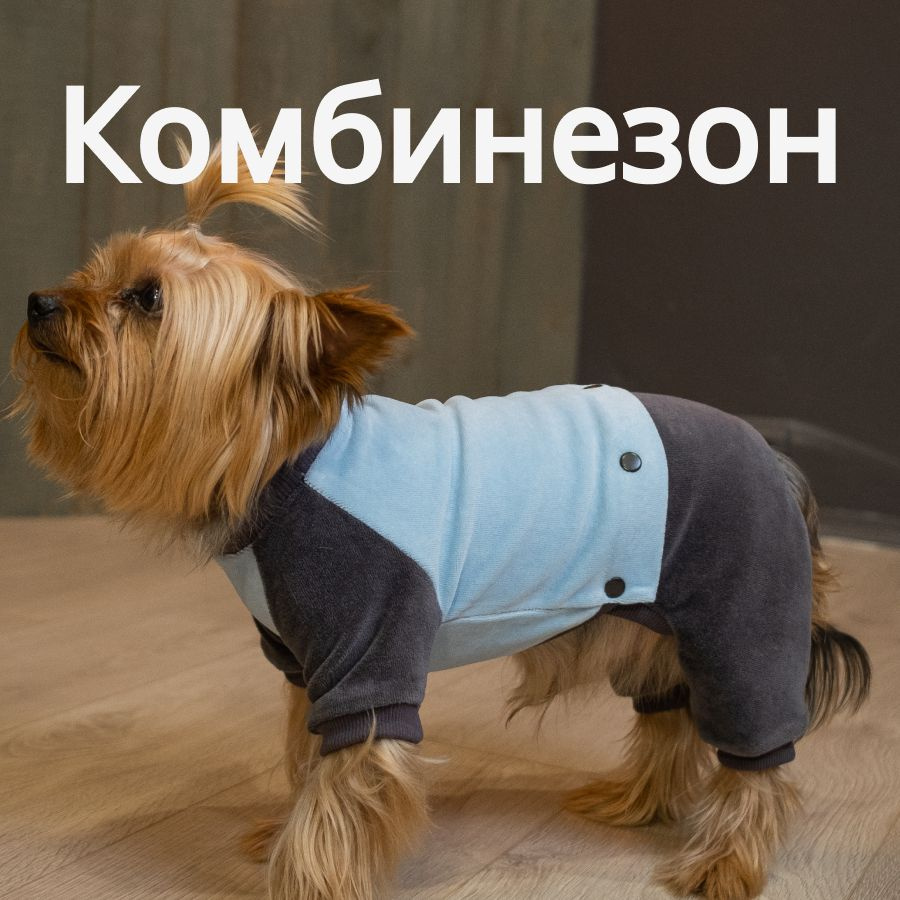 Комбинезон для собак мелких и средних пород 2 в 1 - купить с доставкой ...