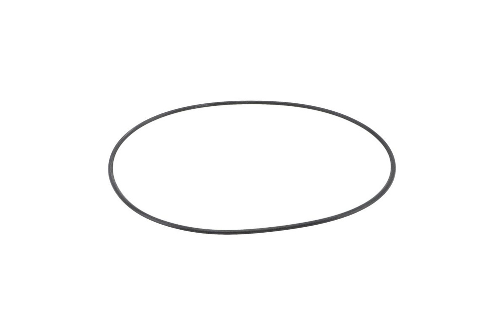 Кольцо уплотнительное корпуса помпы для мотопомпы бензиновой CHAMPION ...