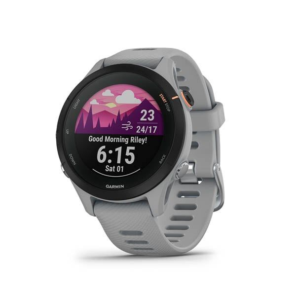 Garmin Умные часы Garmin Forerunner 255S Powder Grey, Powder Grey #1