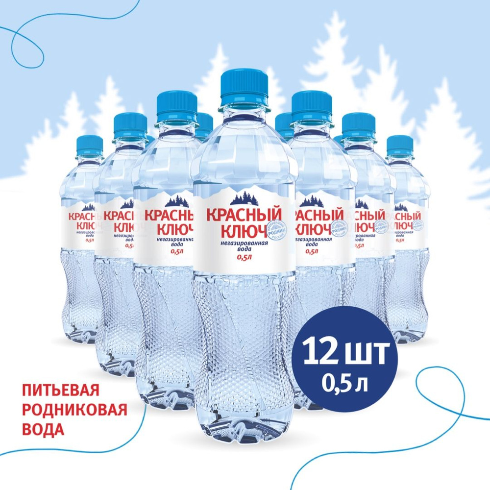 Вода Красный ключ, питьевая негазированная, 12 шт по 0,5 л - купить с  доставкой по выгодным ценам в интернет-магазине OZON (321946674)