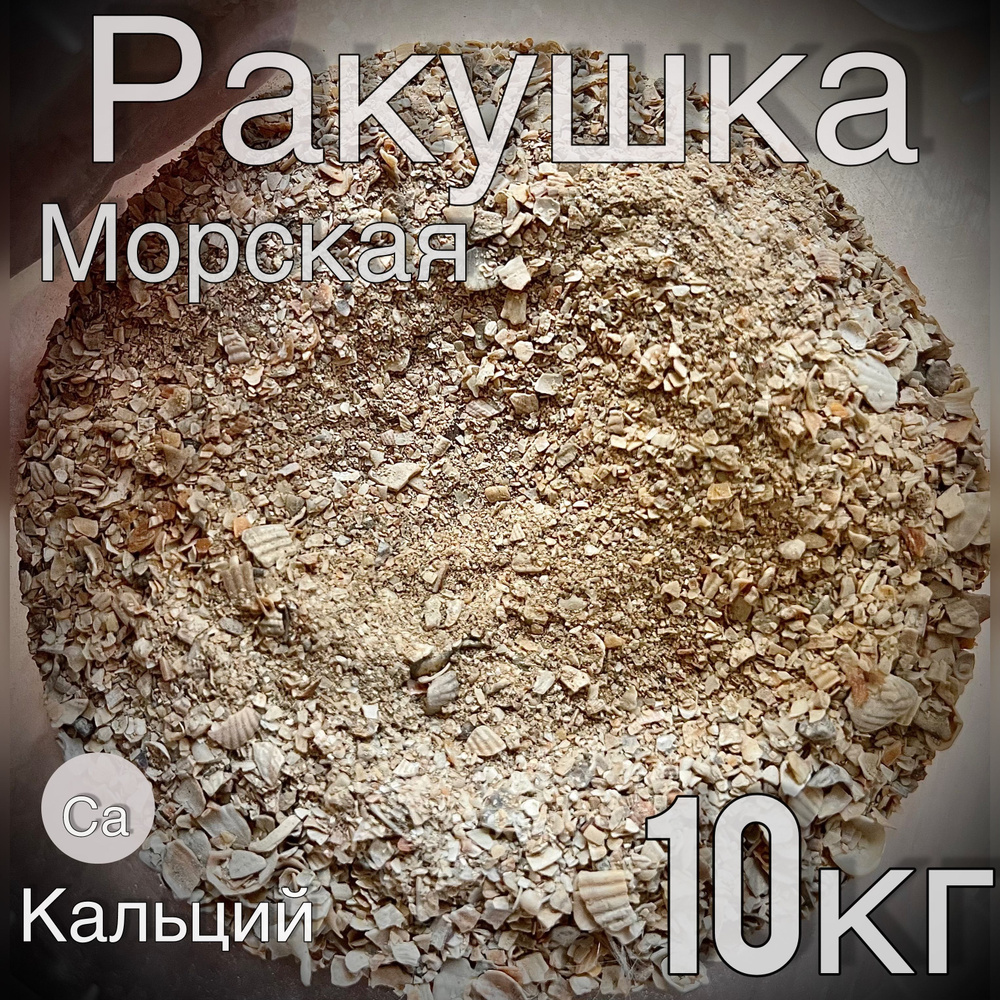 Ракушка кормовая морская МЕЛКАЯ для куриц несушек в комбикорм / Витамины для кур в корм пищевая добавка #1