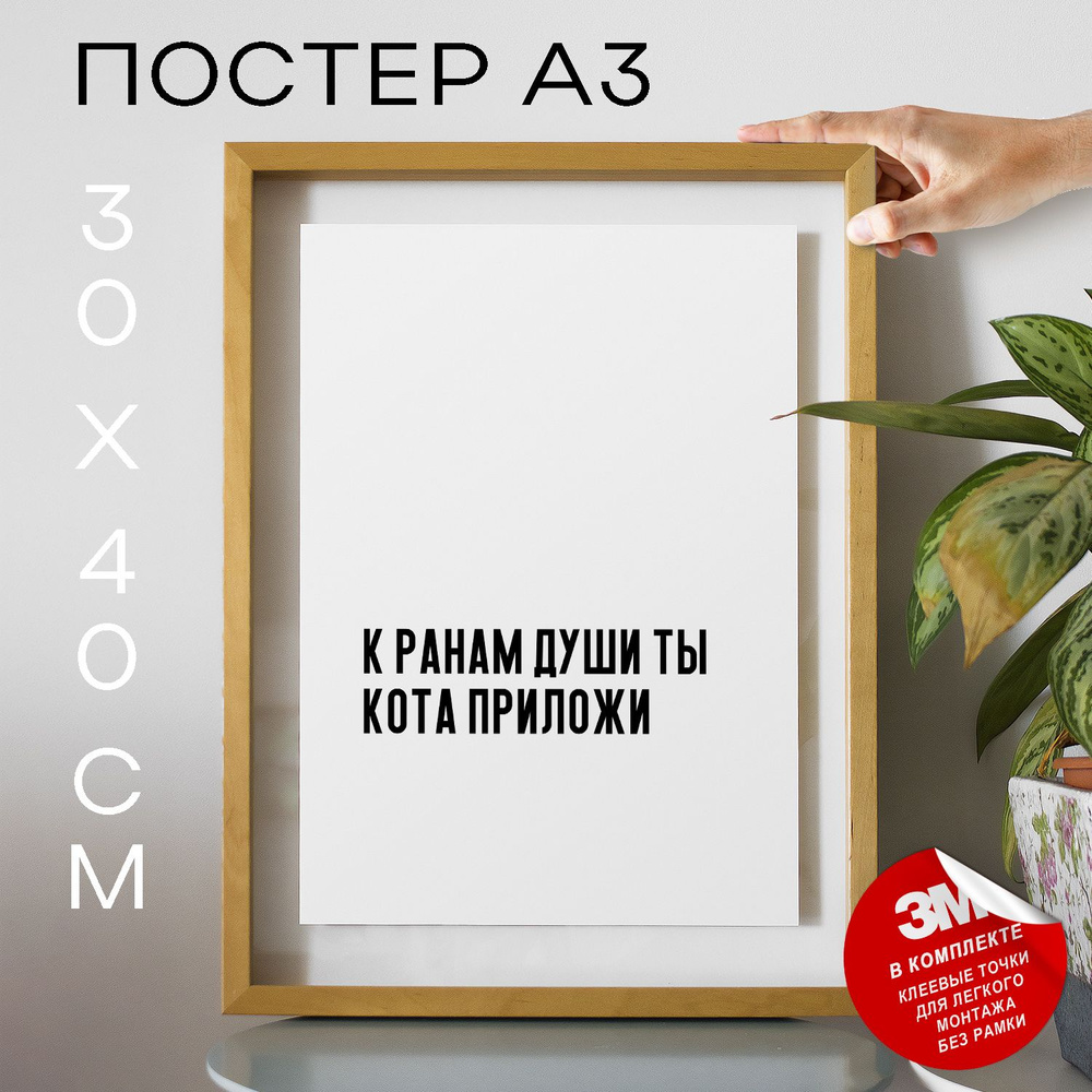 Постер "К ранам души ты кота приложи", 40 см х 30 см #1