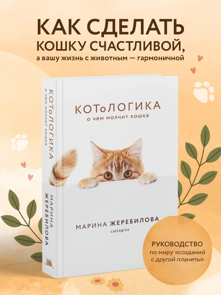 Кошка просит кота. Что делать, если кошка просит кота. | НПК 