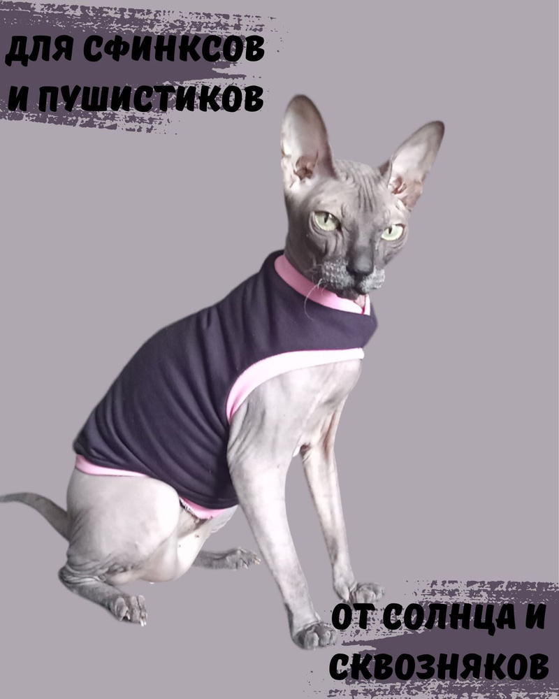 Одежда для животных, сфинкс MEOWme купить за ₽ в интернет-магазине Wildberries