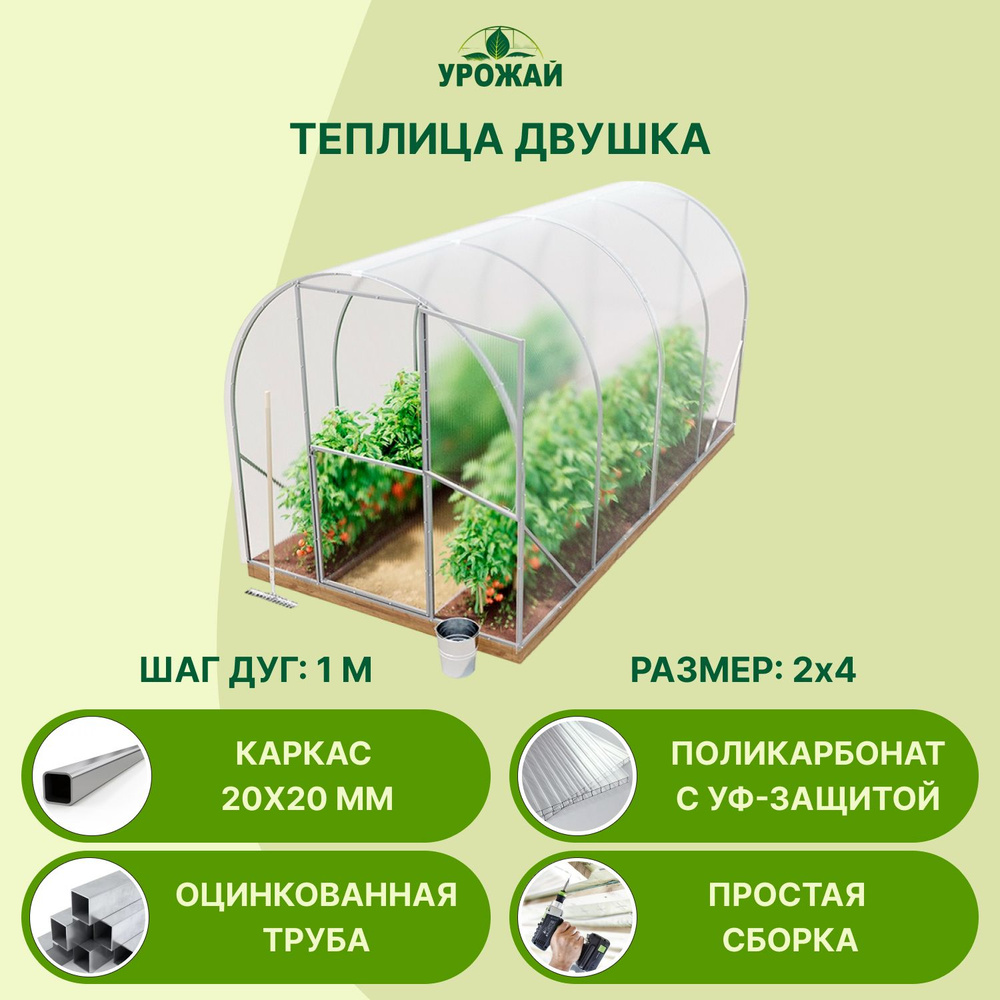 Теплица Двушка, Поликарбонат, Оцинкованная сталь купить по выгодным ценам в  интернет-магазине OZON (1002063301)