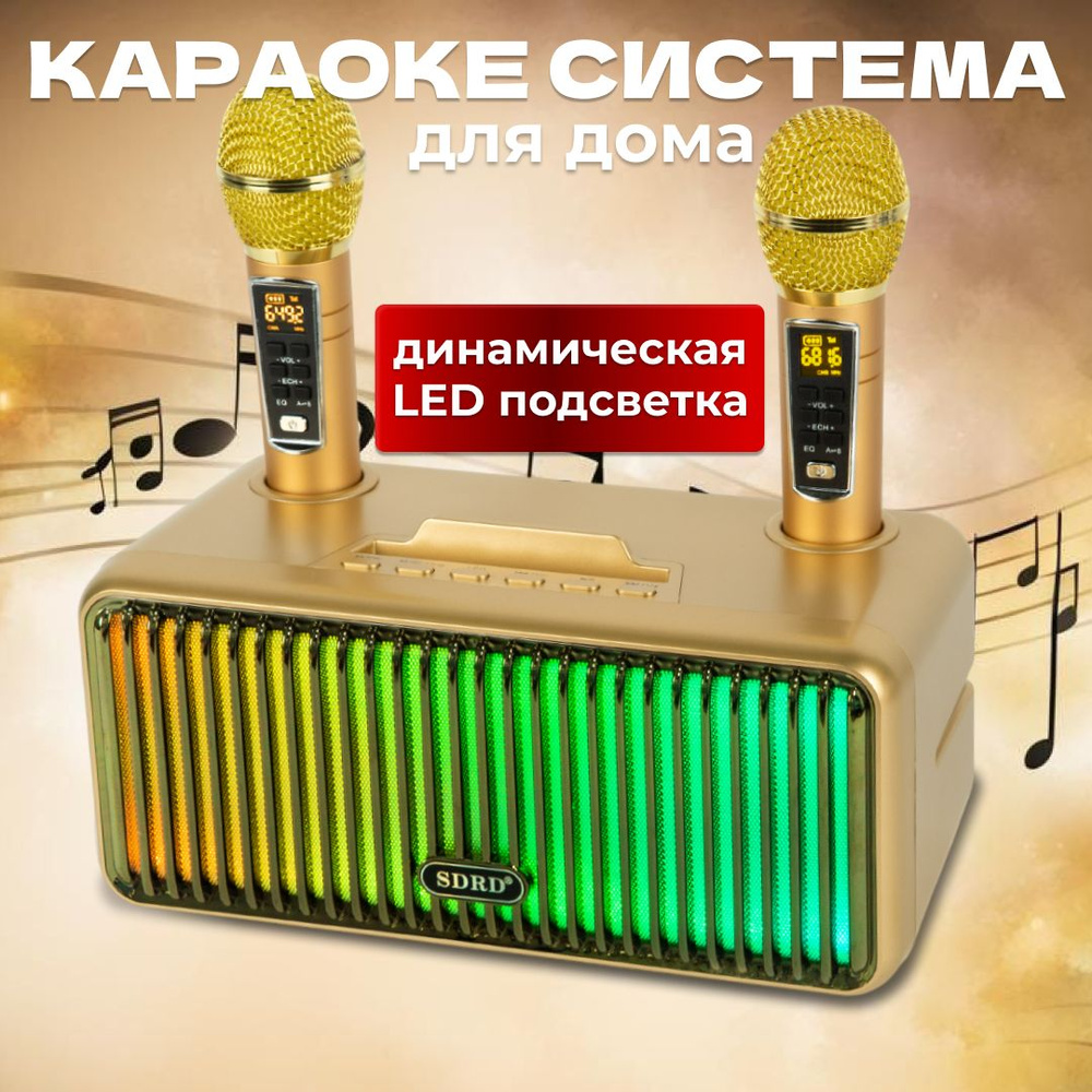 Караоке система SD-319 Pro золотая с двумя микрофонами для взрослых и детей  - купить с доставкой по выгодным ценам в интернет-магазине OZON (761033314)