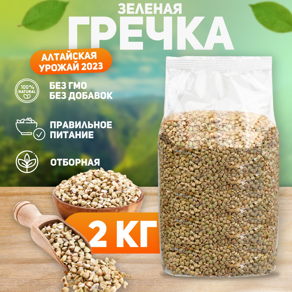 Гречка зеленая для проращивания, для выпечки хлеба и для каши, С Алтайских полей, 2 кг  #1