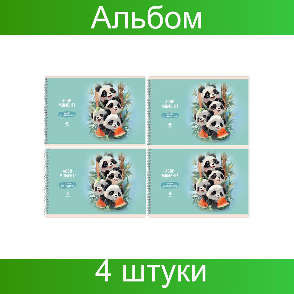 Альбом для рисования 40 листов, А4, на гребне BG Лови момент!, матовая ламинация, 4 штуки  #1