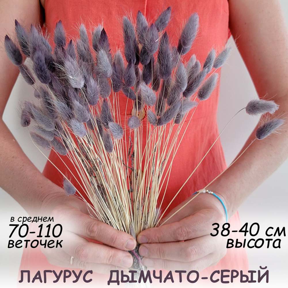 Сухоцветы Лагурус, 40 см, 27 гр, 70 шт #1