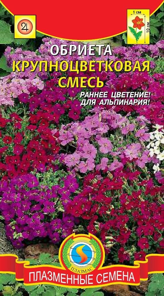 Семена Обриета "Крупноцветковая смесь". Многолетний декоративный кустарник для украшения палисадников! #1