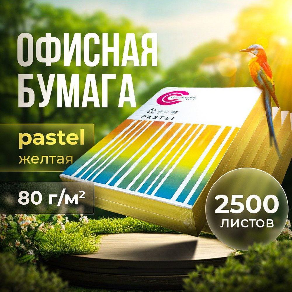 Бумага Color Code формата A4, плотность 80г/м2, 5 штук по 500 листов  #1