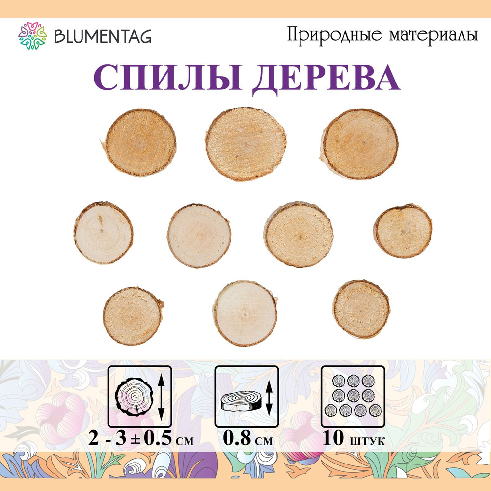 Природные материалы срез дерева "Blumentag" СРЕЗ-21 d. 2-3 см 0.5 10 шт. береза  #1