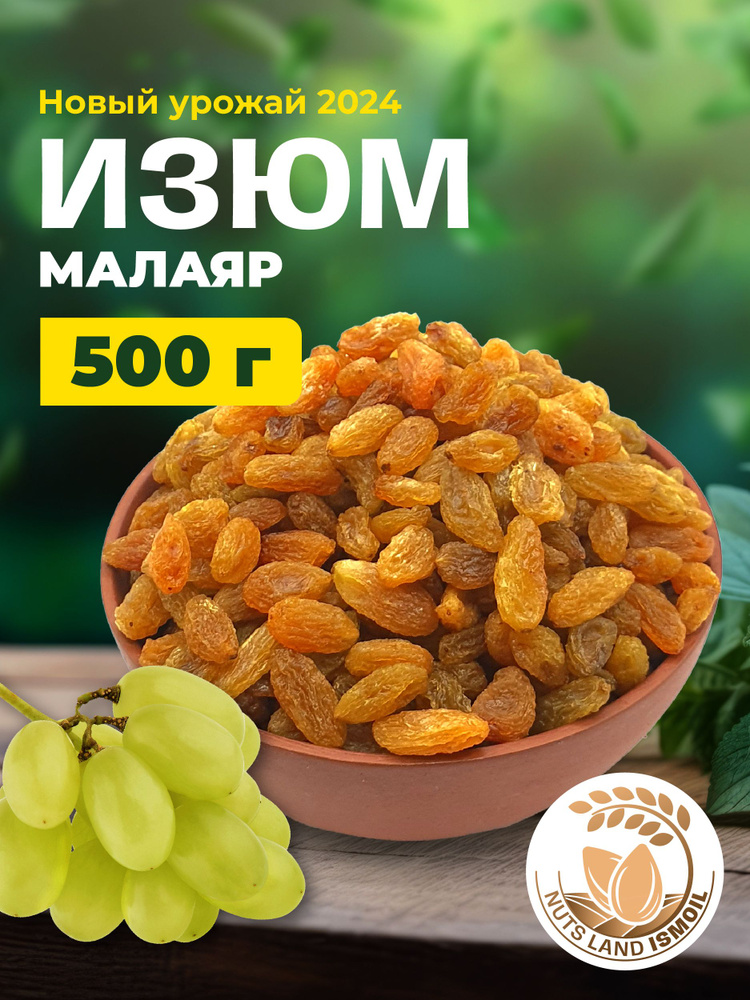 Изюм Малаяр 500 гр #1