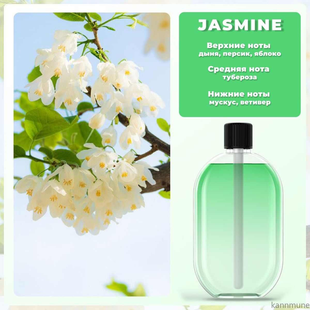 Флакон для аромадиффузора, Аэрозоль, Алоэ-вера, Яблоко, 50 мл купить c ...