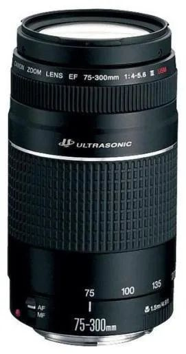 Объектив Canon EF 75-300mm f/4-5.6 III купить на OZON по низкой