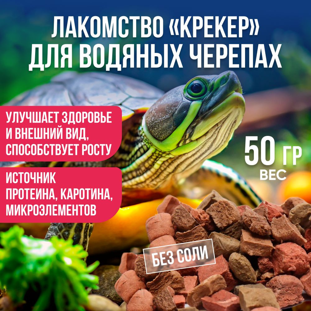 Лакомство "Крекер" для водяных черепах, 50г / Корм для красноухих черепах, витамины для рептилий / Источник #1