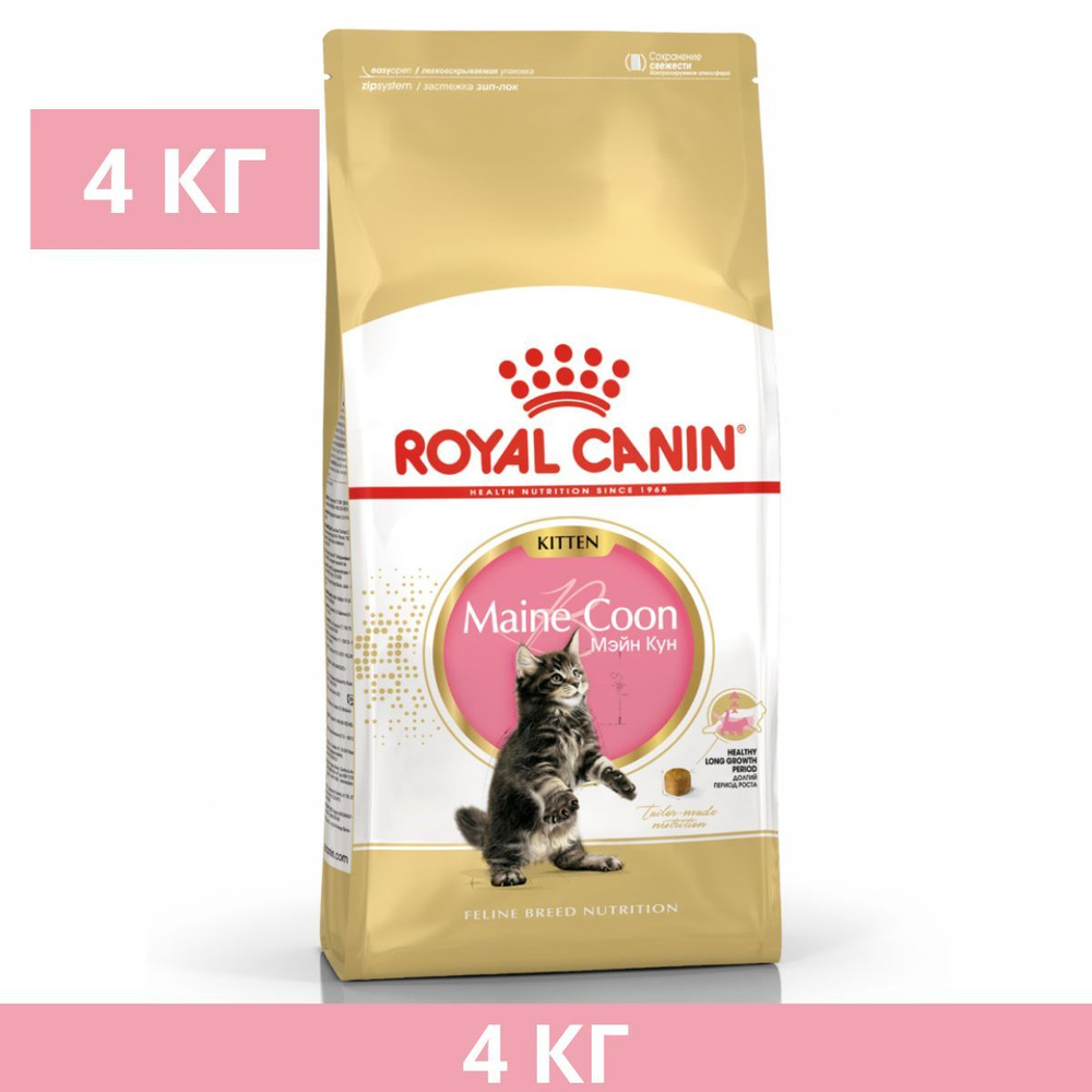 Сухой корм, Royal Canin Maine Coon Kitten сбалансированный для котят ...
