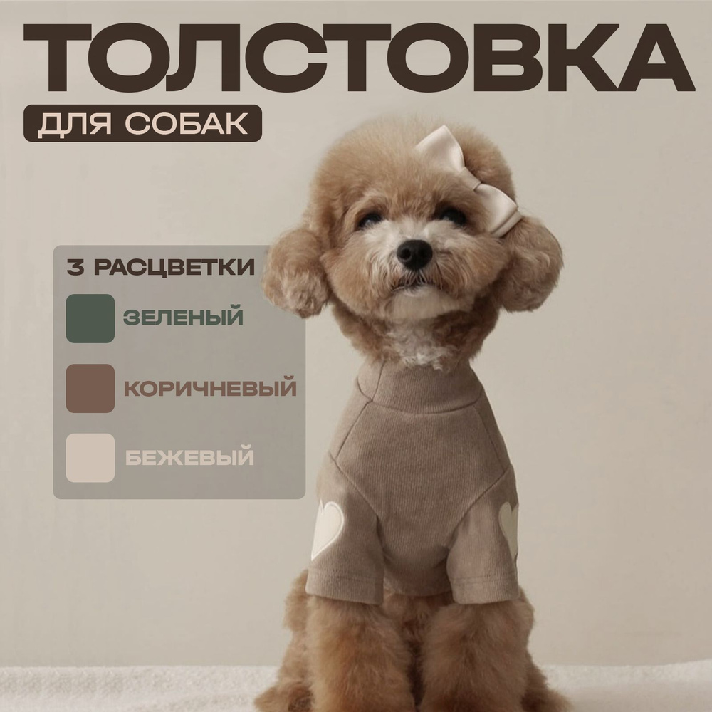 Одежда для животных #1
