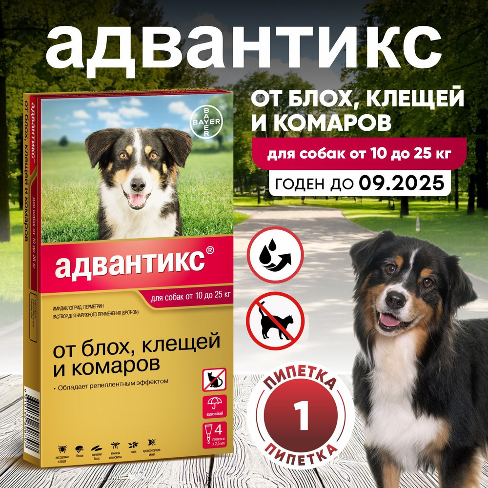 Капли для собак Адвантикс 1 пипетка без упаковки. для собак весом от 10 до 25 кг , против блох, иксодовых #1