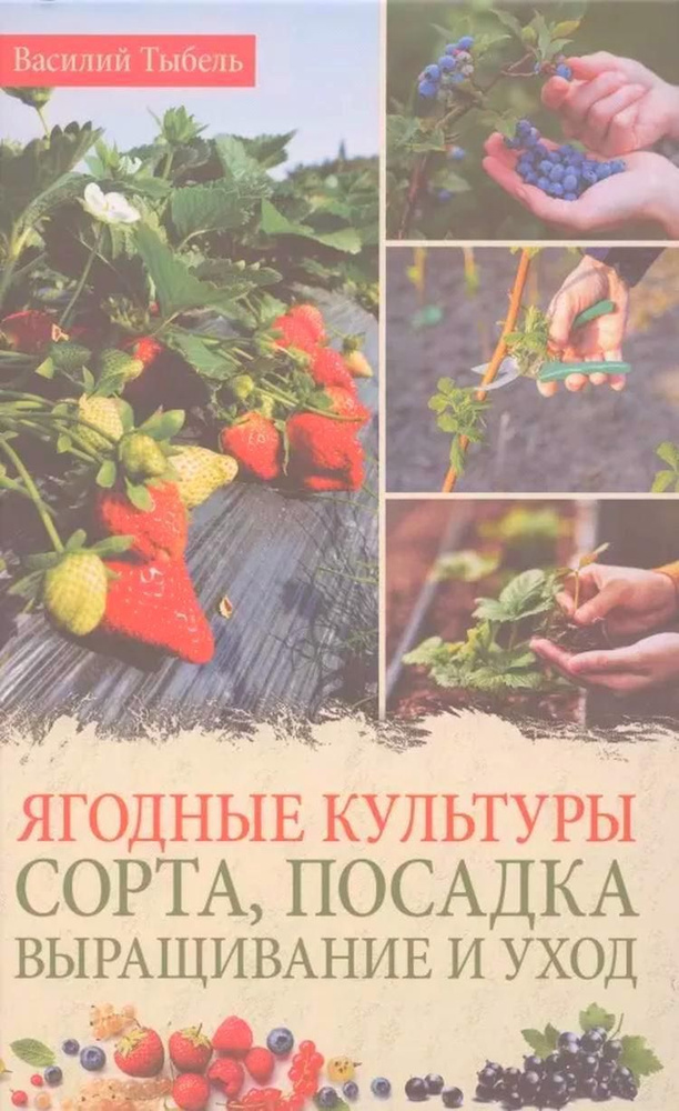 Ягодные культуры. Сорта, посадка, выращивание и уход | Тыбель Василий  #1