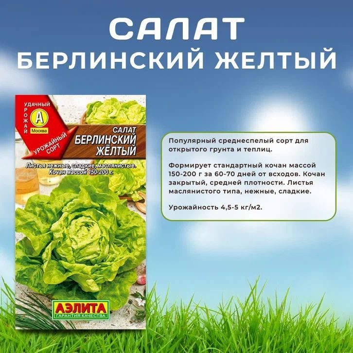 Семена Салат "Берлинский желтый" кочанный, Агрофирма Аэлита #1