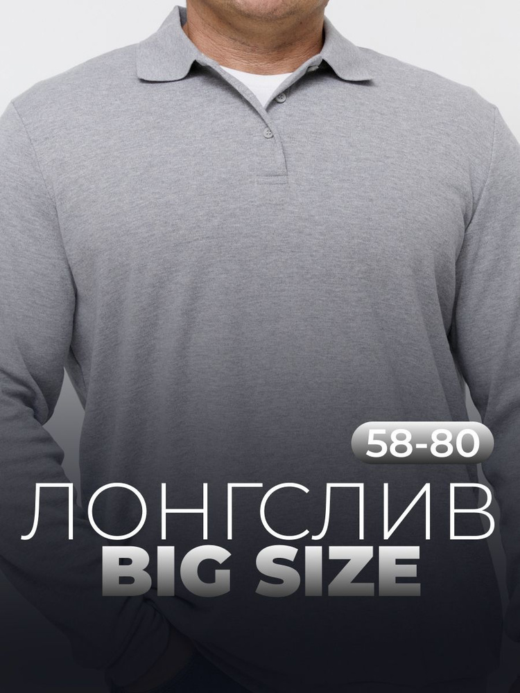 Лонгслив MR. BIGMAN большие размеры 58-80 #1