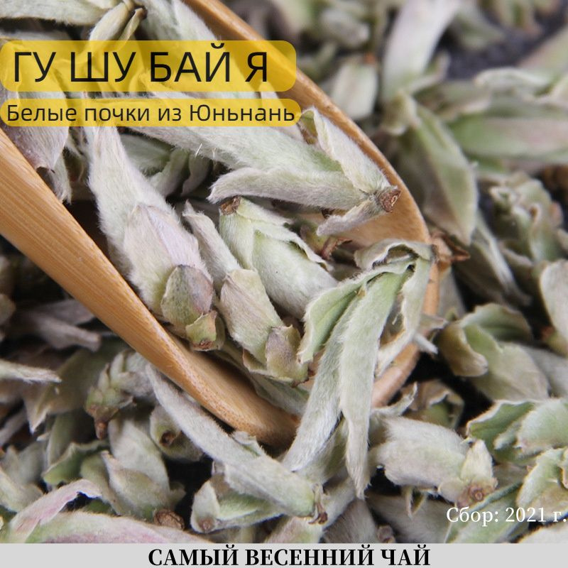 Гу Шу Бай Я (почки деревьев пуэра, белый чай, пуэрные почки Я Бао ...