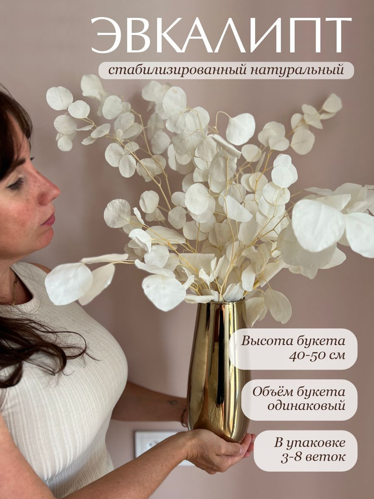 Эвкалипт стабилизированный популус Trava Decor сухоцвет для декора, для вазы #1