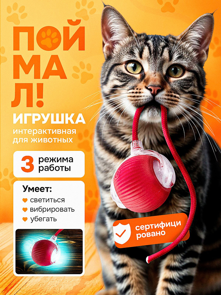 Интерактивная игрушка для кошек и собак, умный мячик с хвостиком, дразнилка для котят #1