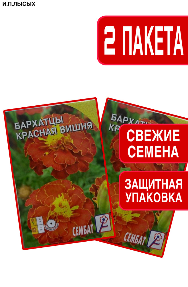 Семена Бархатцы "Красная Вишня" #1