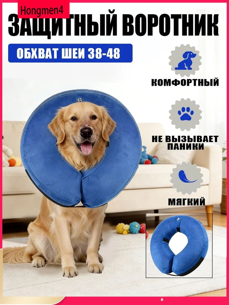 Воротник для животных #1
