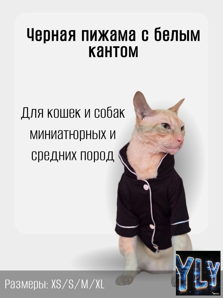 Одежда для животных #1