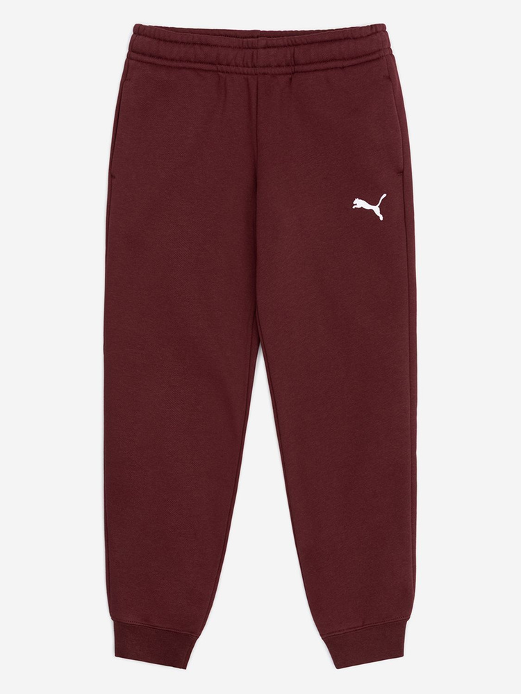 Брюки PUMA ESS Sweatpants CL FL G #1