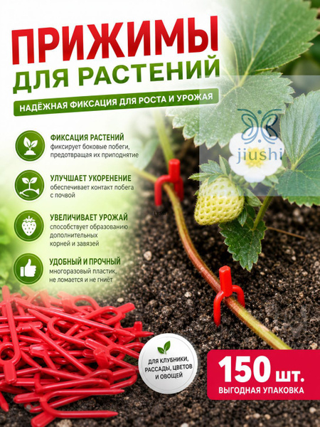 2 150 OZON 4537569897 2-150-ozon-4537569897