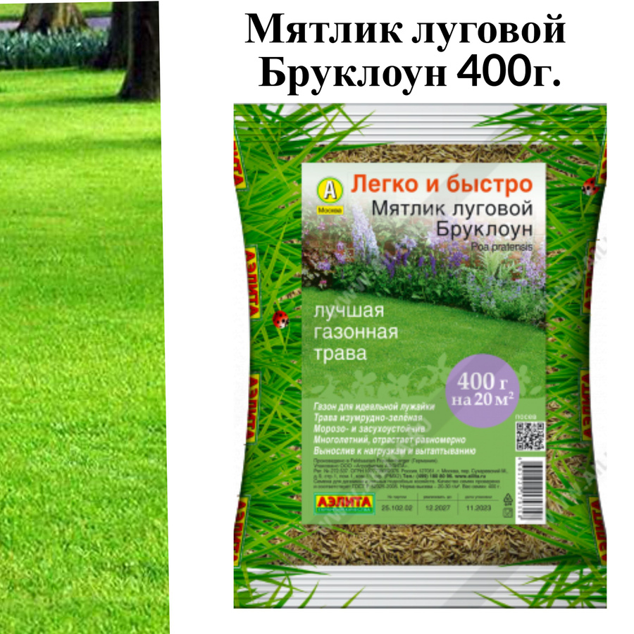 Трава газон. Мятлик бруклоун. Мятлик бруклоун. Газонная трава. Мятлик бруклоун.