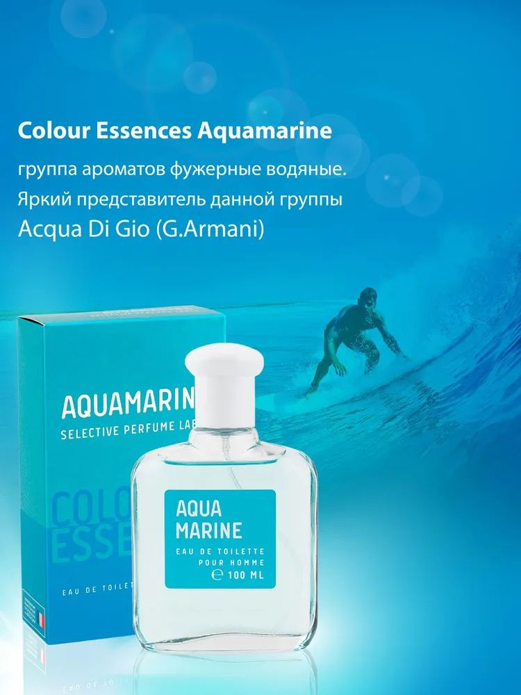 https://www.ozon.ru/product/tualetnaya-voda-muzhskaya-100ml-colour-essences-aquamarine-793432850/