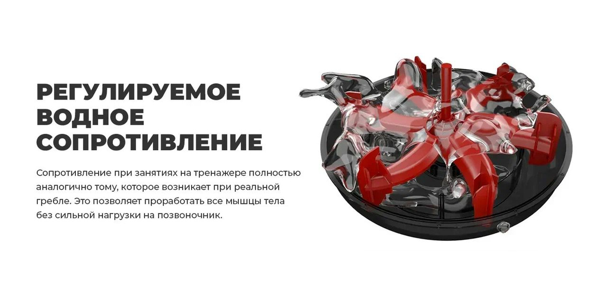 Текстовое описание изображения